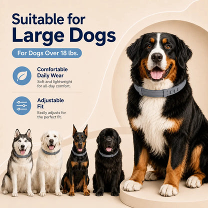Adjustable Dog Collar with Fresh Scent Comfortable Lightweight Pet Collar for Large Dogs over 18 Lbs Everyday Wear for Walks and Outdoor Use