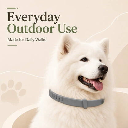 Adjustable Dog Collar with Fresh Scent Comfortable Lightweight Pet Collar for Large Dogs over 18 Lbs Everyday Wear for Walks and Outdoor Use