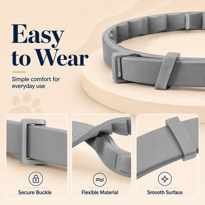Adjustable Dog Collar with Fresh Scent Comfortable Lightweight Pet Collar for Large Dogs over 18 Lbs Everyday Wear for Walks and Outdoor Use