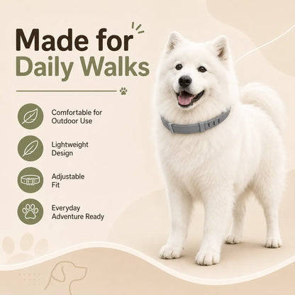 Adjustable Dog Collar with Fresh Scent Comfortable Lightweight Pet Collar for Large Dogs over 18 Lbs Everyday Wear for Walks and Outdoor Use